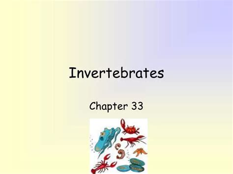 Ppt Invertebrates Powerpoint Presentation Free Download Id6940473