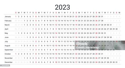 Linear Calendar For 2023 Year Vector Illustration Yearly Calender