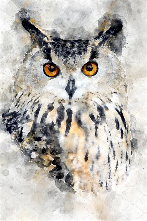 Owl Watercolor Illustration Portra Bird Watercolor Paintings Owl