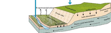 Processes And Mechanisms Of Soil Salinization In The Study Area