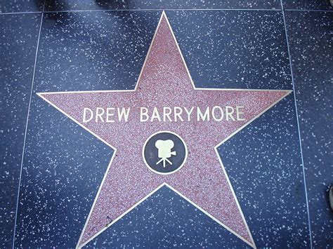 Watch more movies on fmovies. Top 10 Amusing Facts about the Stars on the Hollywood Walk ...