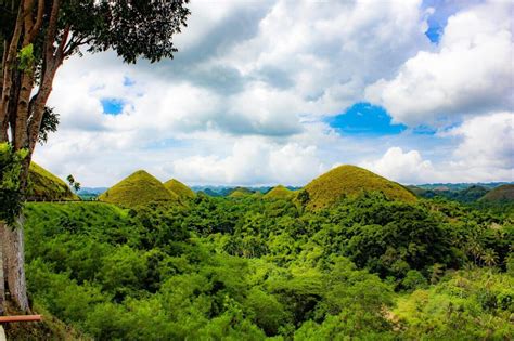 27 Best Things To Do In Bohol The Ultimate Guide Touristsecrets