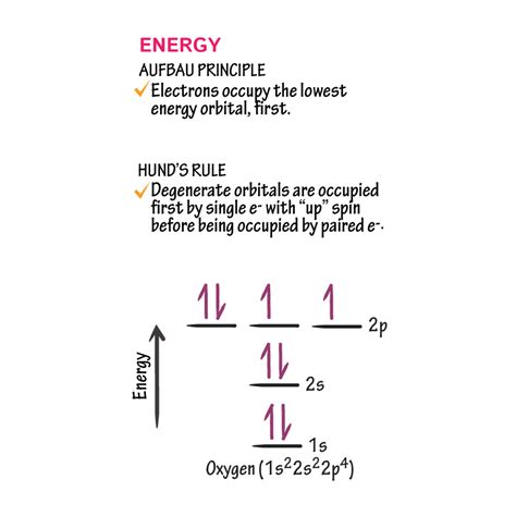 Biochemistry Glossary Energy Aufbau Principle Hund S Rule Ditki