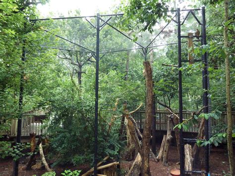 Half Acre Walk Through Aviary Pileated Woodpecker Exhibit Zoochat