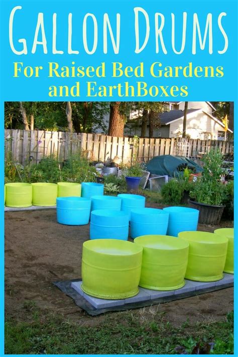 55 Gallon Drum Projects For A Raised Garden Bed Gardensall