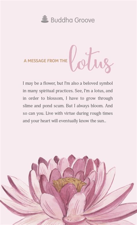 We did not find results for: lotus flower meaning in english - Ecosia | Words, Buddha, Quotes