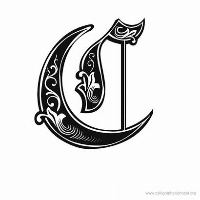 Calligraphy Alphabet Gothic Letter Printable Letters Decorative