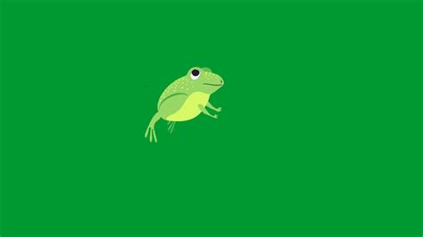 Frog Green Screen Jumping Cute Frog Youtube