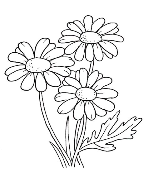 Disegni di vasi con fiori gh91 regardsdefemmes. disegni da colorare fiori - disegni per bambini - disegni ...