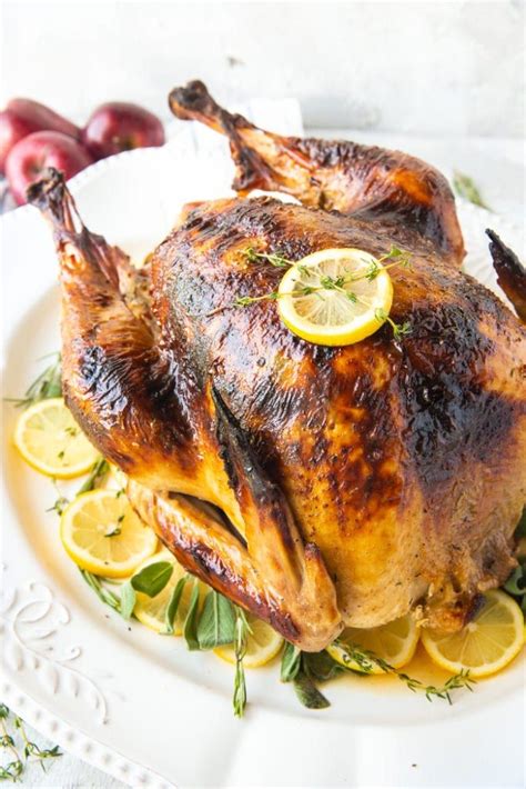 10 alternative thanksgiving meals (that just might be better than turkey). Roast Turkey | Recipe | Roasted turkey, Turkey recipes ...