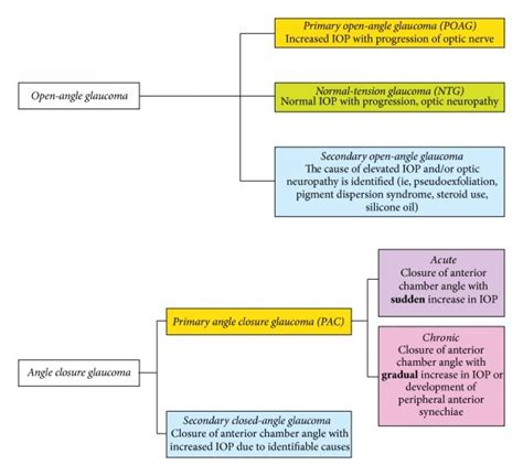 Glaucoma Classification And Subtypes Download Scientific Diagram