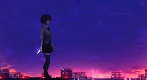 Hd Wallpaper Anime Girl Rooftop Buildings Sunset School Uniform