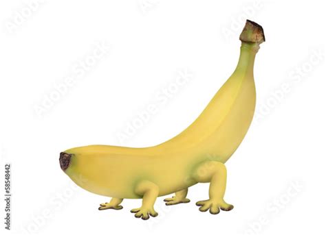 Photo Stock Genetically Modified Banana With Legs Adobe Stock