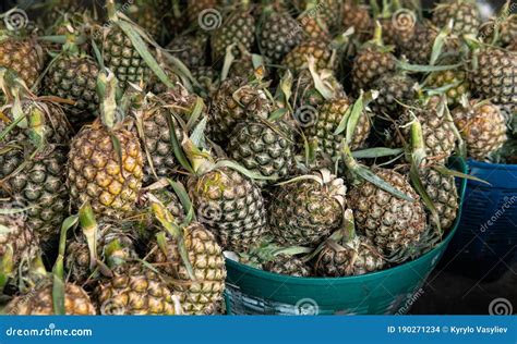 Selling Pineapple Fruits In Tropical Markets In Asia World Imports Of