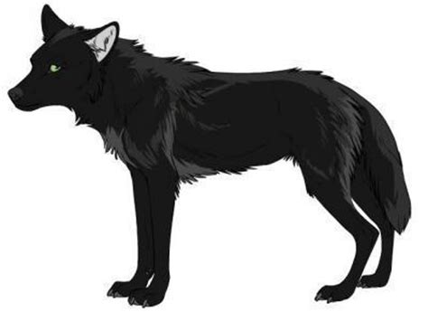 See more ideas about anime wolf, wolf, wolf drawing. black wolf - wolfcrazy Photo (22339817) - Fanpop