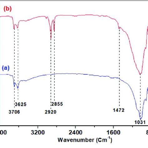 Ftir Spectra Of Raw Clay A And Clayhdtmabr B Download Scientific Diagram