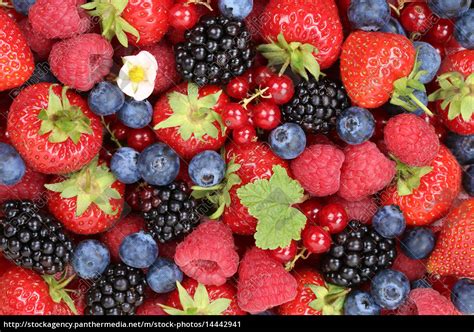 Beeren Früchte Hintergrund mit Erdbeeren Himbeeren - Lizenzfreies Bild ...