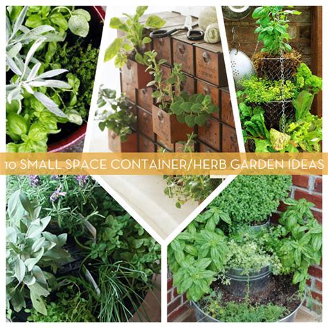 10 Small Space Container And Herb Garden Ideas Creative Spotting