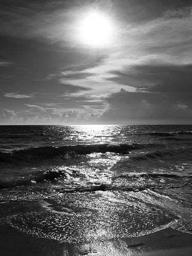 Aesthetics, grunge, vintage, retro, tumblr, tree, landscape. 13 Striking Black and White Photos at the Beach | Black, white landscape, Black, white beach ...