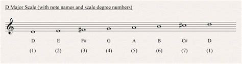 Scale degree numbers are the major scale, one of the most important building blocks of tonal music, consists of seven distinct pitch classes called scale degrees arranged. D Major Scale - All About Music Theory.com
