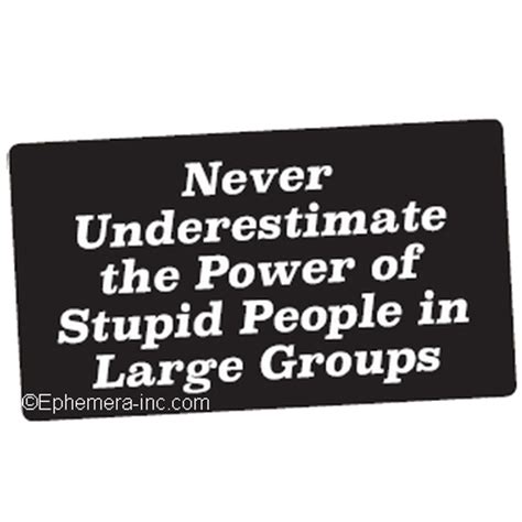 Buy This Never Underestimate The Power Of Stupid People In Large