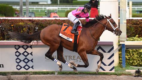 Kentucky Derby Horses 2024 Race Melly Claudina