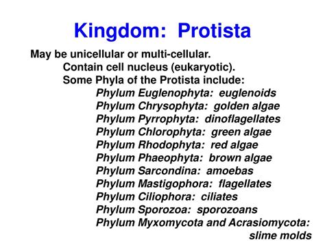 PPT - MONERA (1 celled, no nucleus) PowerPoint Presentation, free