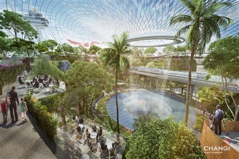 Wide variety of butterflies and moths in the butterfly garden offer a stunning view of these beautiful creations of god which are rarely seen in urban settings due to pollution are housed. Changi Airport Continues Making the World's Best Airport ...