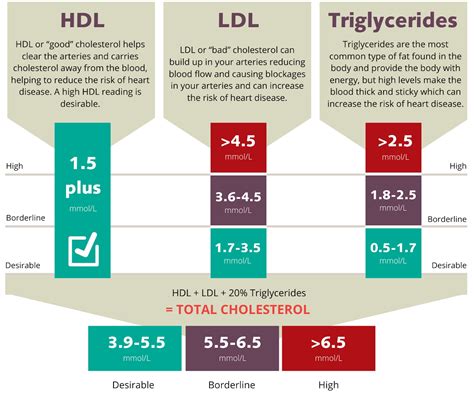 High Cholesterol Symptoms And Risks Victor Chang Cardiac Research