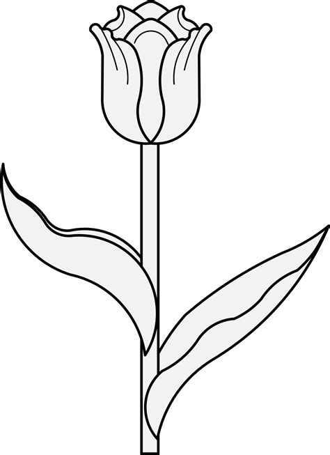 Tulip Flower Clipart At Getdrawings - Gambar Bunga Tulip Hitam Putih