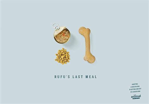30 Shocking Animal Ad Campaigns That Will Make You Rethink ...