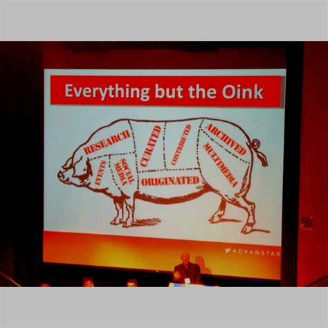 How To Apply Skinning A Pig To Using Editorial Content Data