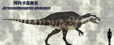 Acrocanthosaurus Atokensis By Sinammonite On Deviantart