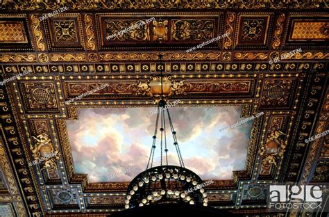 The Grand Study Hall Ceiling New York Public Library 1895 New York