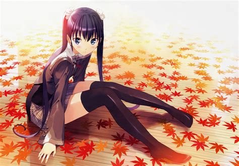 2000x1385 Leaves Anime Anime Girls Sitting Stockings School Uniform