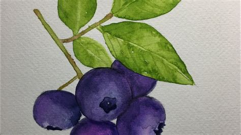 Painting Blueberries In Watercolor How To Paint Blueberries In