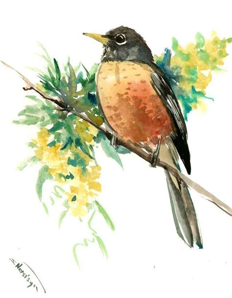 American Robin Artwork Original One Of A Kind Watercolor Painting