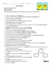 Snurfle meiosis worksheet answer key page 2. Snurfle Meiosis WS.docx - Name Class Date Snurfle Meiosis ...