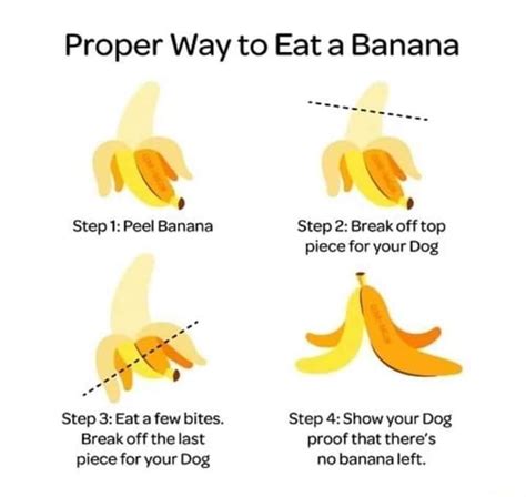 Proper Way To Eat A Banana Step 1 Peel Banana Step 2 Break Off Top