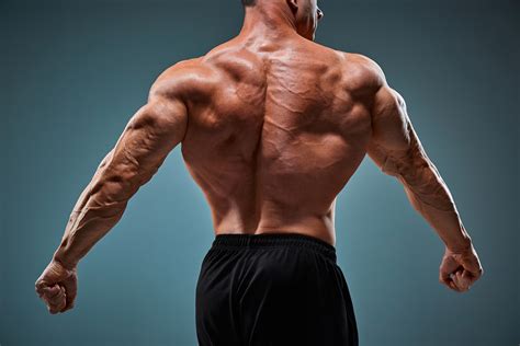 Verywell health is your destination for reliable, understandable, and credible health information and expert advice that always keeps why you came to us in mind. How to Build a Wider Back (One Muscle Building Hack)