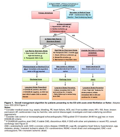 Calcium Channel And Beta Blockers Considered First Line