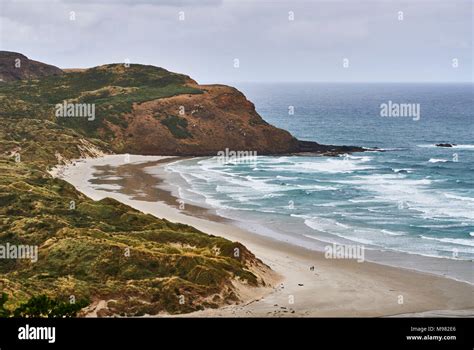 New Zealand South Island Dunedin Otago Peninsula Sandfly Bay Stock Photo Alamy