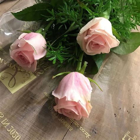 Crystal Blush Roses Lisas Florist