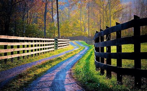 Country Road Countryside Fields Trees Fences Hd Wallpaper Peakpx