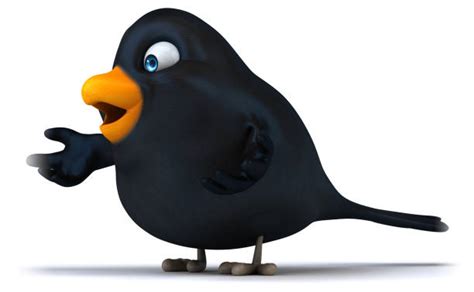 Blackbird Cartoon Pictures Images And Stock Photos Istock