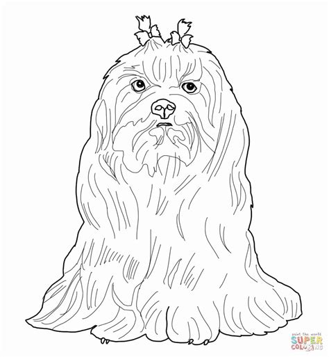 Find typically the latest and best shih tzu coloring pages images here that many of us get selected from plenty of other images. Shih Tzu Coloring Page Best Of Yorkie Shih Tzu Coloring ...