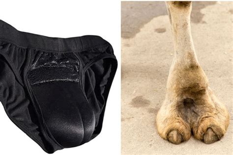camel toe hoes ♥john galliano s £ 740 camel toe shoes mocked by shoppers w