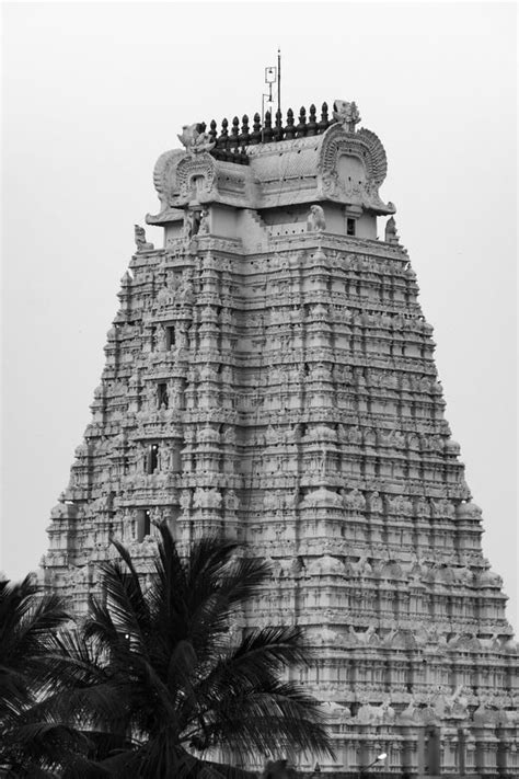 Beauty In Black Temple Tower On Srirangam Temple Stock Photo Image Of
