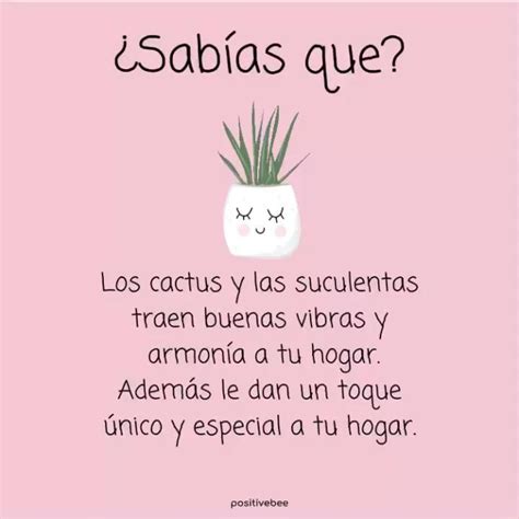 Frases Para Cuidar Las Plantas Frases Motivacionais Para Status