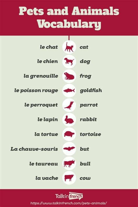 Pin by Israa Nab on Cours de français | Basic french words, Learn ...